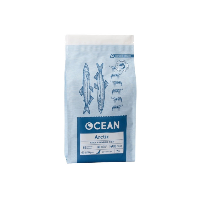 OCEAN ARTIC