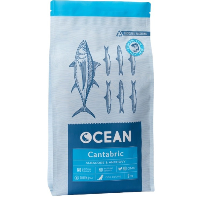 OCEAN CANTABRIC