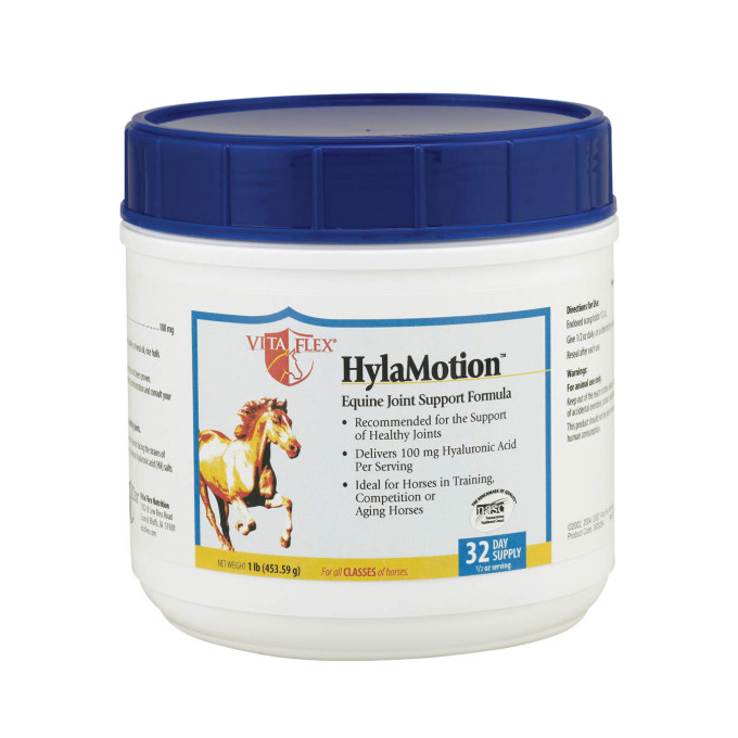 HYLAMOTION