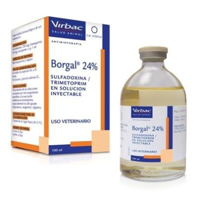 BORGAL