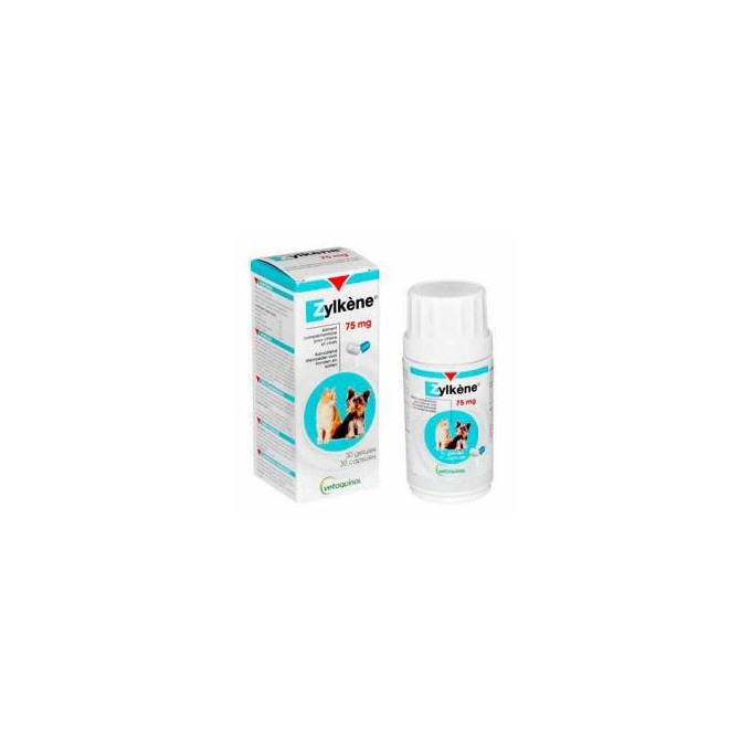 ZYLKENE 75 MG