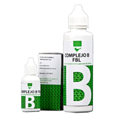 FBL COMPLEJO B