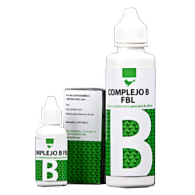 FBL COMPLEJO B