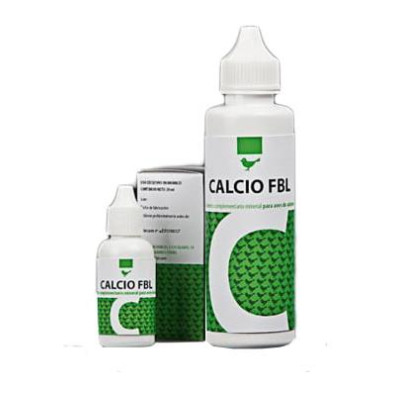 FBL CALCIO