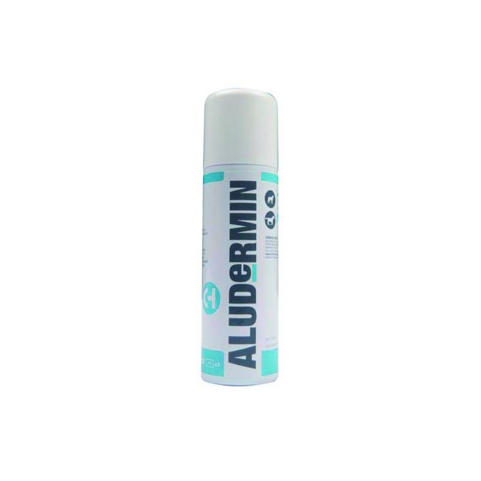 ALUDERMIN SPRAY PLATA