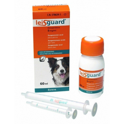 LEISGUARD