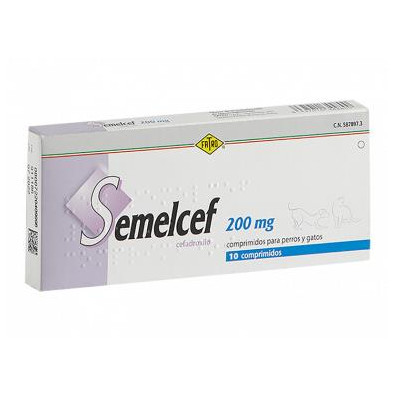SEMELCEF 200 MG