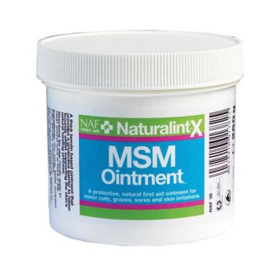 MSM OINTMENT