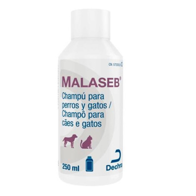 MALASEB CHAMPU