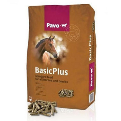PAVO BASIC PLUS