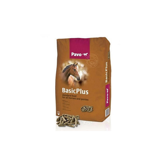 PAVO BASIC PLUS