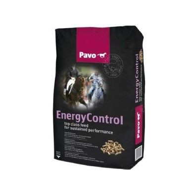 PAVO ENERGY CONTROL