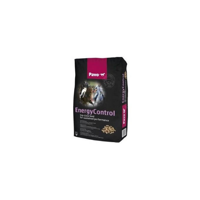 PAVO ENERGY CONTROL