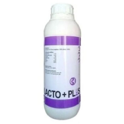 LACTO PLUS