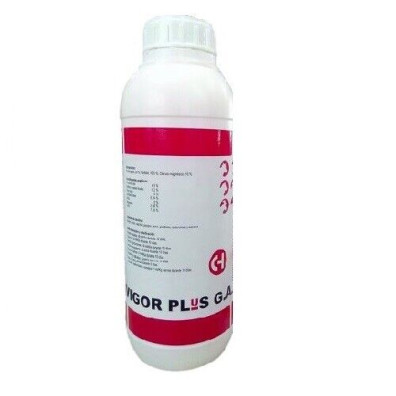 VIGOR PLUS GA