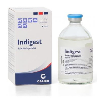INDIGEST ENV. 100 ML
