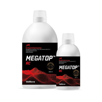 MEGATOP RC