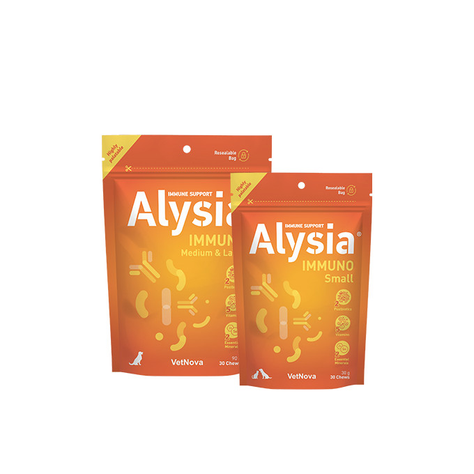 ALYSIA® IMMUNO Medium & Large
