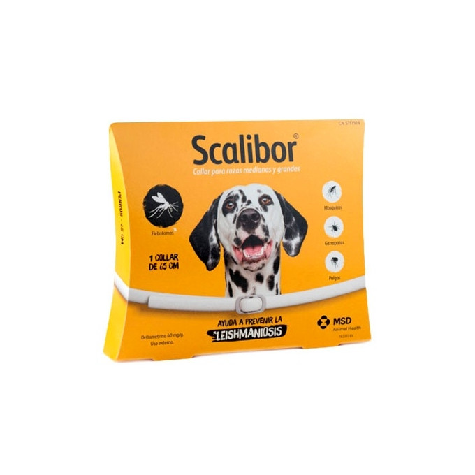 SCALIBOR 65 CM