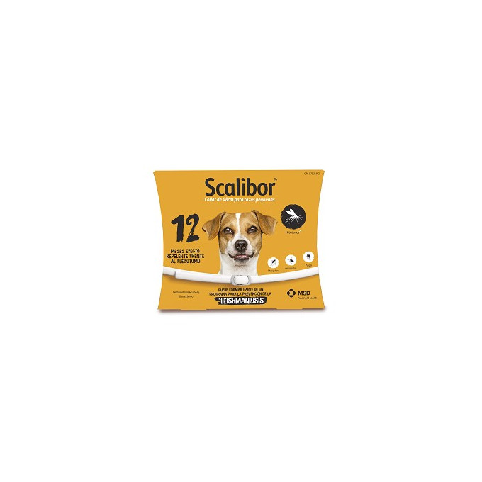 SCALIBOR 48 CM