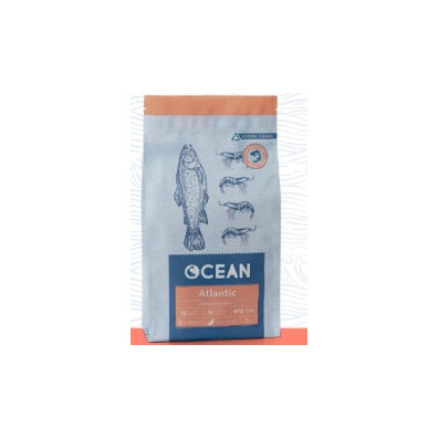 OCEAN ATLANTIC