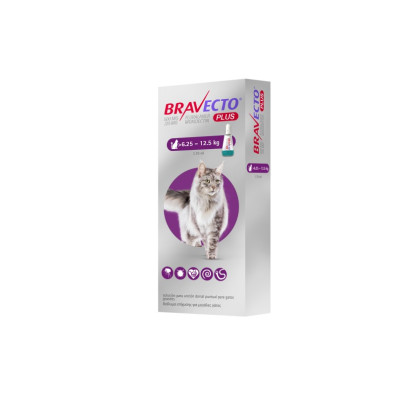 BRAVECTO PLUS GATO 500 MG