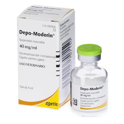 DEPO MODERIN