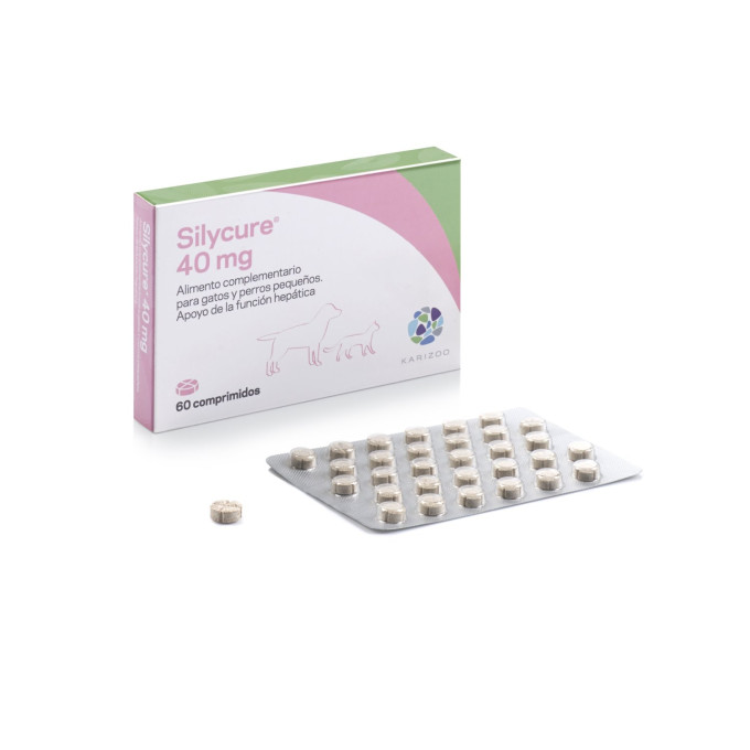 SILYCURE 40 MG