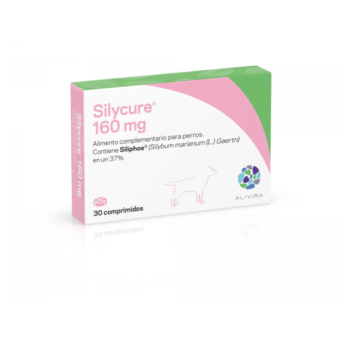 SILYCURE 160