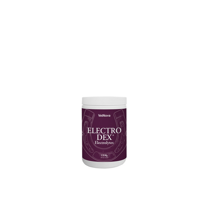 ELECTRO DEX