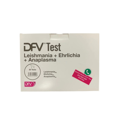 DFV TEST L+E+A