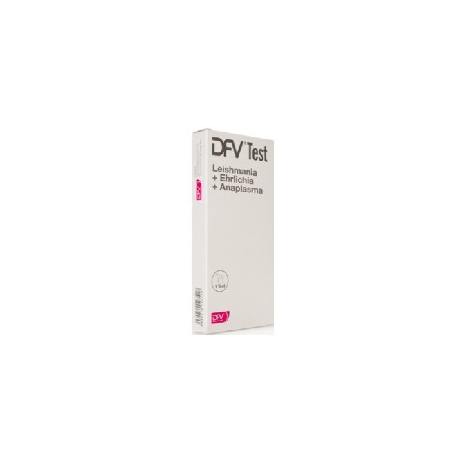 DFV TEST L+E+A